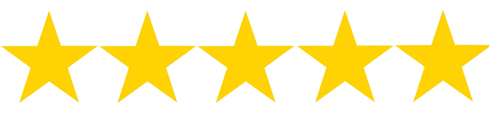 5-stars-google-reviews-rheinpiraten